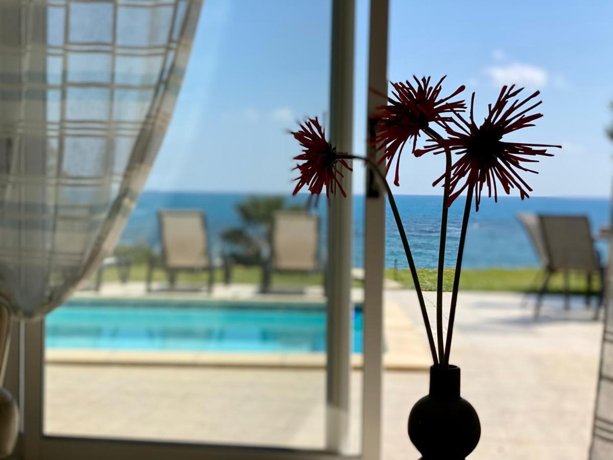 Amazing Front Line Villa In Coral Bay Πέγεια Εξωτερικό φωτογραφία